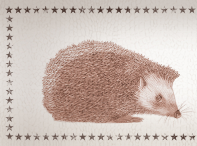 Amaral - Hacia lo Salvaje