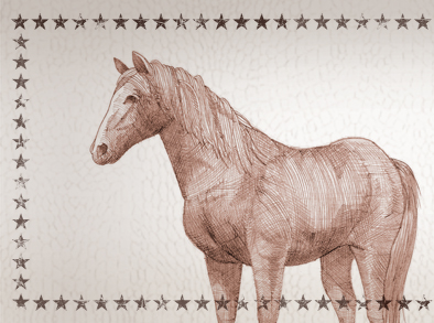 Amaral - Hacia lo Salvaje